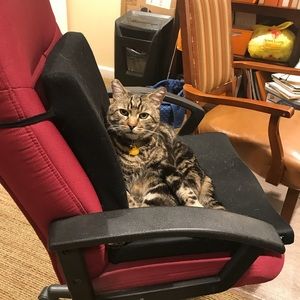 Meet your Posher, Lizeth